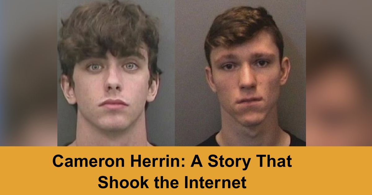Cameron Herrin: A Story That Shook the Internet